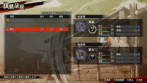 《战国无双5》马匹养成攻略:如何挑选技能提升战斗力? 《战国无双5》马匹养成攻略:如何挑选技能提升战斗力?