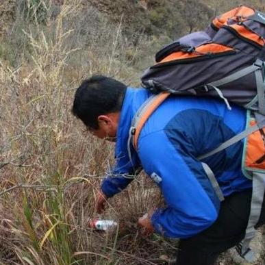 洛克王国恶魔狼怎么进化?进化路线一览表! 洛克王国恶魔狼怎么进化?进化路线一览表!