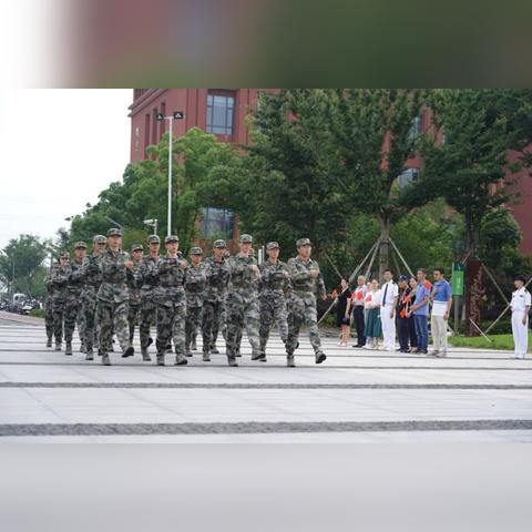 2021 标准模式下炉石传说海盗战的深度剖析与实战攻略