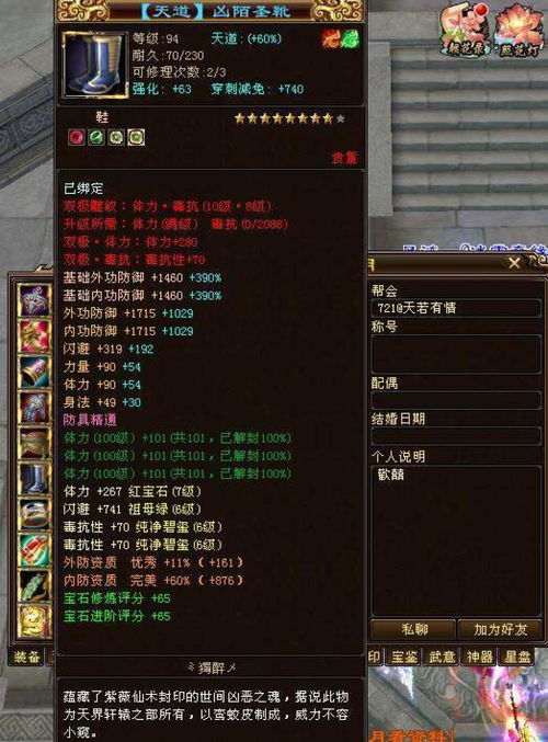 天龙八部发布网 独家服多，独家服务器版本揭秘，新手怎么玩得爽？