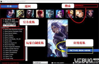 英雄联盟皮肤号交易平台,市场现状、风险与未来发展 英雄联盟皮肤号交易平台,市场现状、风险与未来发展