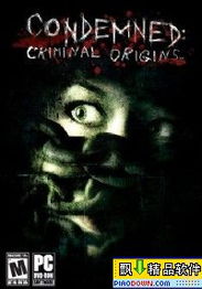 电脑版恐怖游戏下载，开启惊悚刺激的虚拟之旅