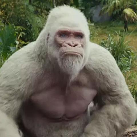 《光环5》全收集攻略揭秘：高效Intel骷髅收集与特殊武器解锁技巧分享