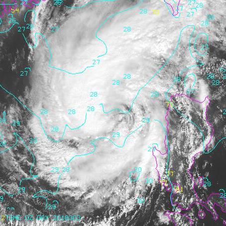 《模拟人生4》快速攻略：解锁泡妞秘籍，轻松成为恋爱达人