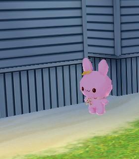 炫舞兔兔天使在哪里,还是需要寻宝