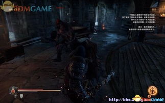 《堕落之王》白金攻略全奖杯速成技巧，轻松解锁成就攻略秘籍