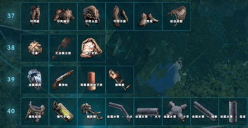 N卡画面极致优化攻略！《方舟生存进化》画面提升秘籍大公开