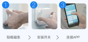 莫莫小工具,新手小白也能轻松上手？