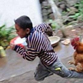 命运的羽毛哭了,是不是真的认错了？