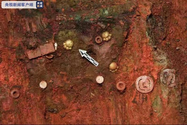 山西北白鹅墓地出土5件猫爪金饰 揭秘古代文化新发现