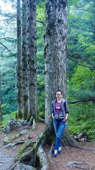 神农架，树木茂密，打一字，你想到什么？