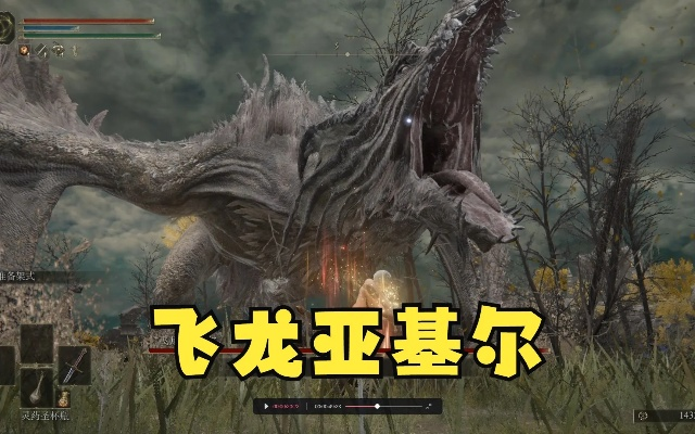 《艾尔登法环》飞龙亚基尔攻略：高效打法解析，轻松战胜飞龙亚基尔