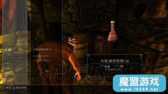 《上古卷轴5天际》攻略深度解析：第二弹全流程揭秘，独家技巧大放送