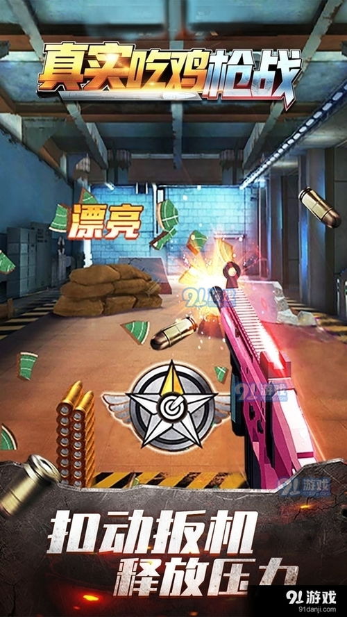 单机枪战游戏，战火中的沉浸式体验