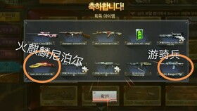 cf手游兑换码永久武器,免费兑换码在哪领