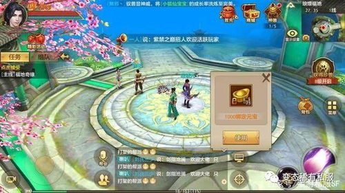 天龙八部sf 仿官服，2025年稳定排行数据大揭秘