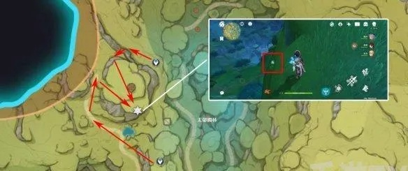 《原神》高效劫波莲采集攻略：解锁快速升级新秘籍