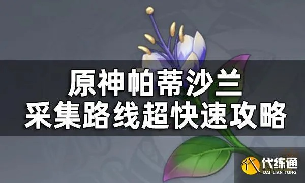 《原神》帕蒂莎兰高效攻略：快速收集路线详解，轻松升级！