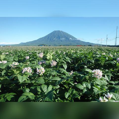 17世纪虾夷复仇之旅，《羊蹄山之魂》开启神秘探险