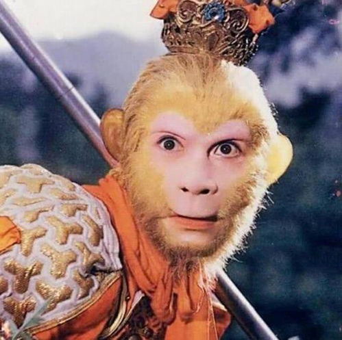 新西游记的孙悟空,真的只是个猴子吗