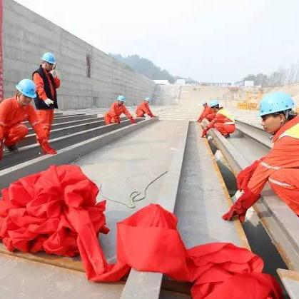 数码宝贝世界复原进化条件攻略，探寻进化奥秘