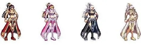 dnf沉鱼落雁（哪一个职业最适合这套外观）