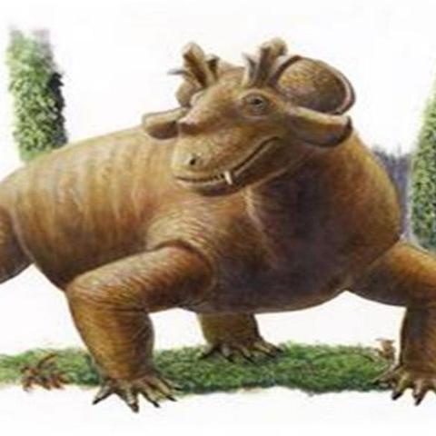 想快速完成远古3任务？这份流程攻略值得收藏！