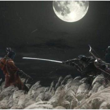 《只狼》操作攻略揭秘：掌握战斗技巧，解锁游戏精髓！