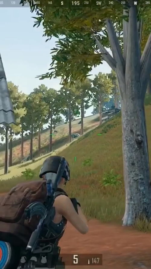 《绝地求生》移动靶精准击杀攻略：掌握移动目标射击技巧