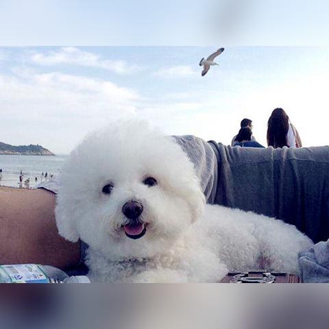 时间宠经验表,怎么才能让它更快升级? 时间宠经验表,怎么才能让它更快升级?