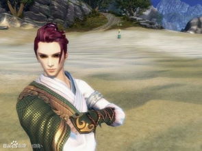 笑傲江湖ol捏脸代码,在哪里可以找到