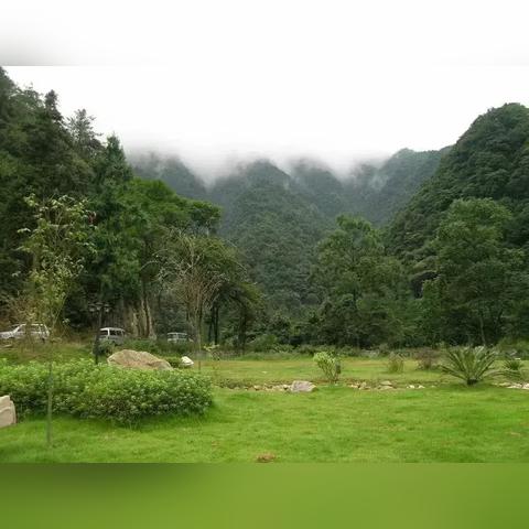 最新单机大作，游戏世界的璀璨明珠