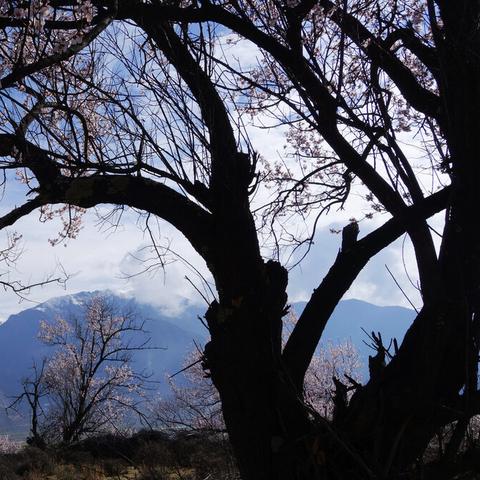 小游戏攻略,末班车游戏攻略 小游戏攻略,末班车游戏攻略