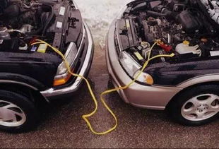 电狼之车, 你敢点开吗？