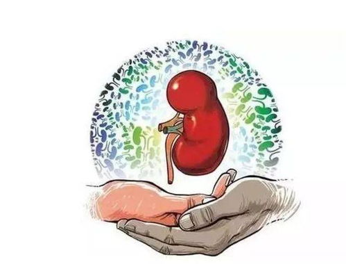 戾气危机,是社会病还是人性病 戾气危机,是社会病还是人性病