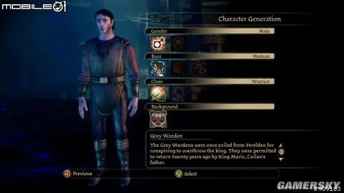 《龙腾世纪：起源》职业专精攻略：深度解析，快速提升战力秘籍