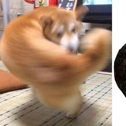 《Left 4 Dead》生存技巧揭秘：独家图文攻略助你通关无忧