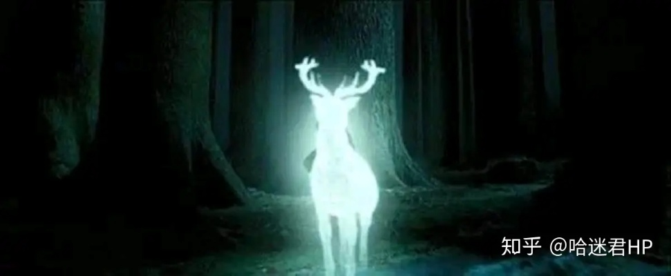 斯内普的守护神：牝鹿背后的深情秘密