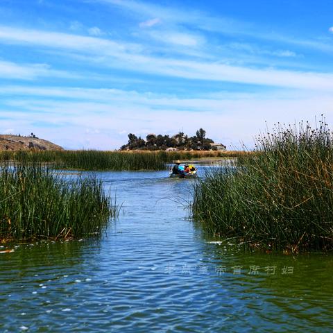 植物大战僵尸2攻略下载,攻略分享带你所向披靡