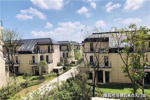 哪里有仙踪林大豆行情网老狼？这个网站千万别错过！