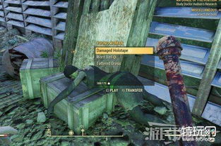 《辐射76》神秘女士服装攻略：快速获取全解析，独家技巧分享