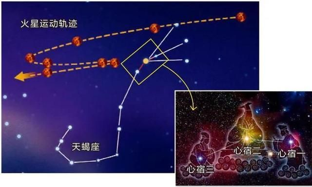 看流星的小猴,小猴坐标是哪
