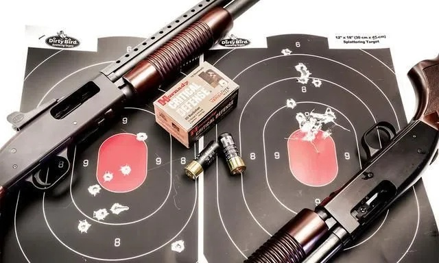 霰弹枪传奇：回首岁月，探寻双喷与连喷的巅峰对决