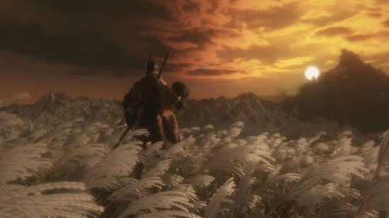 《只狼》试玩版无伤通关攻略：揭秘高难度挑战技巧，轻松解锁完美结局