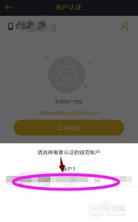 链克口袋国际版,  玩转海外版有什么技巧