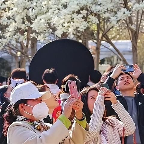 海棠文化线上文学城入口2023,  2023年还有哪些地方可以看海棠小说