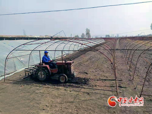 《坦克世界》助农行动,助力乡村振兴,打通致富“最后一公里”新通道 《坦克世界》助农行动,助力乡村振兴,打通致富“最后一公里”新通道