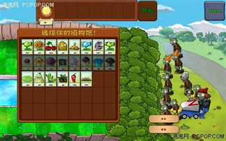 植物大战僵尸加强版植物攻略:深度解析全新植物技能 植物大战僵尸加强版植物攻略:深度解析全新植物技能
