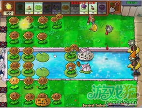 《植物大战僵尸》8炮流阵型攻略：揭秘无限生存新策略