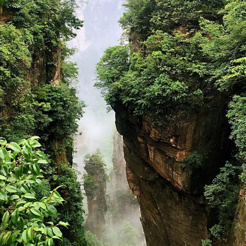 《阿凡达》探险必看攻略，解锁神秘潘多拉星球新玩法